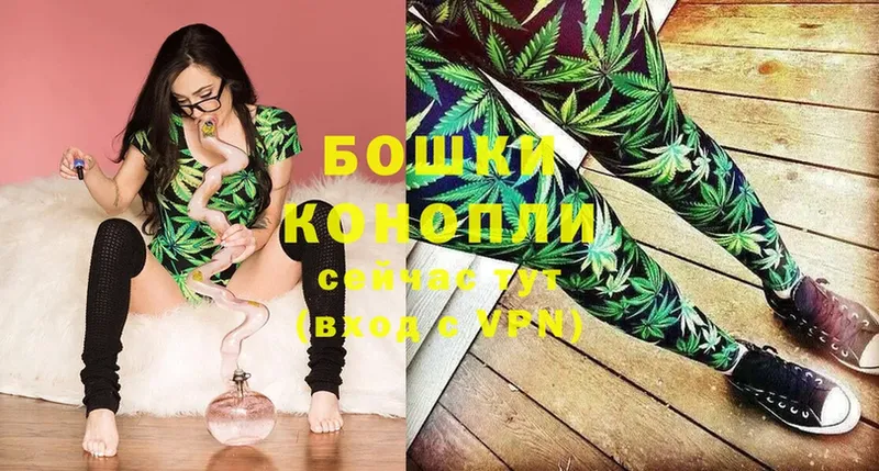 Конопля SATIVA & INDICA  Малая Вишера 